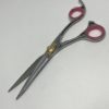 salon scissor